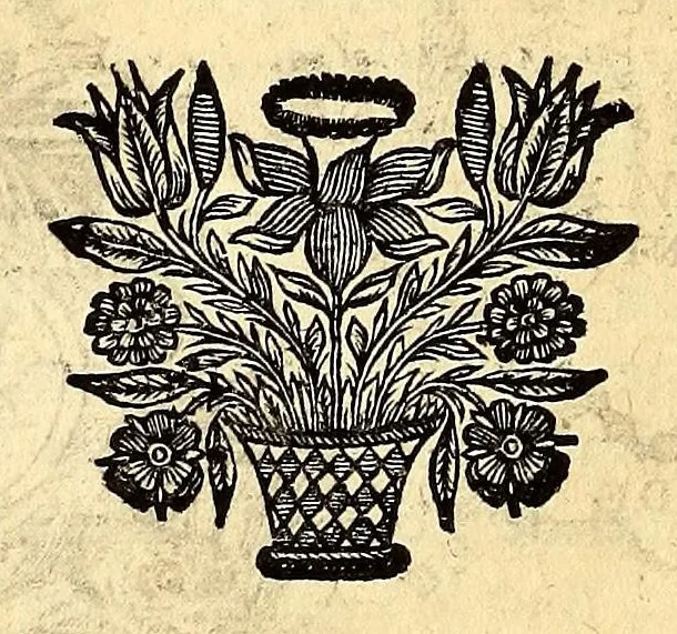 An illustration from Description de l'univers, : contenant les differents systêmes du monde, les cartes generales & particulieres de la geographie ancienne & moderne : les plans & les profils des principales villes & des autres lieux plus considerables de la terre ; avec les portraits des souverains qui y commandent, leurs blasons, titres & livrées : et les mœurs, religions, gouvernemens & divers habillemens de chaque nation. Dediee au roy., 1683, leaf 370