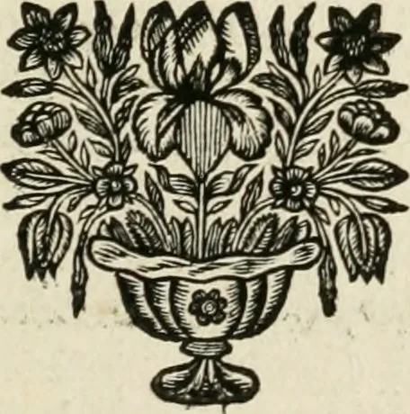 An illustration from Description de l'univers, 1683, leaf 118