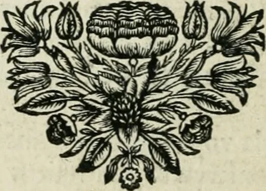 An illustration from Description de l'univers, 1683, leaf 135