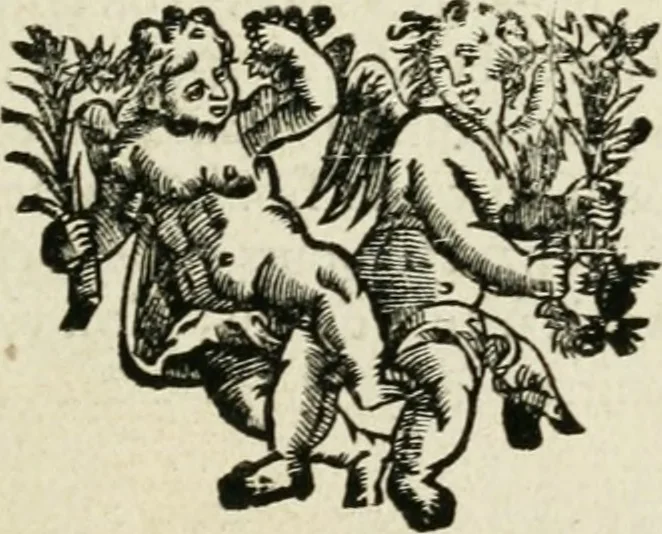 An illustration from Description de l'univers, 1683, leaf 166
