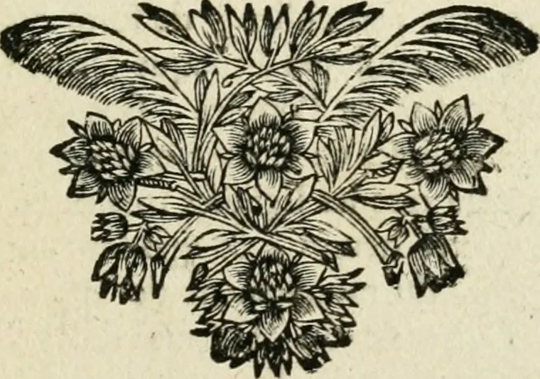 An illustration from Description de l'univers, 1683, leaf 176