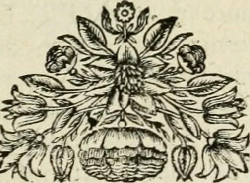 An illustration from Description de l'univers, 1683, leaf 194