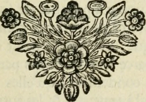 An illustration from Description de l'univers, 1683, leaf 196
