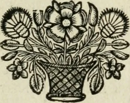 An illustration from Description de l'univers, 1683, leaf 198