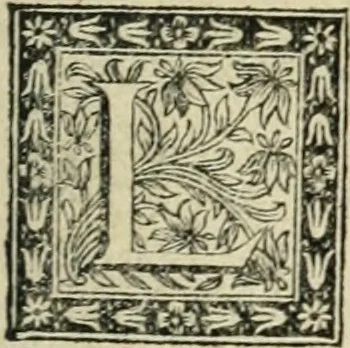 An illustration from Description de l'univers, 1683, leaf 214