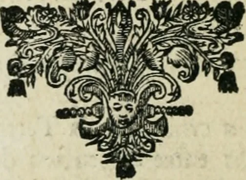 An illustration from Description de l'univers, 1683, leaf 215