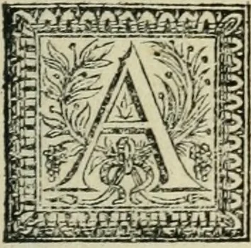 An illustration from Description de l'univers, 1683, leaf 300