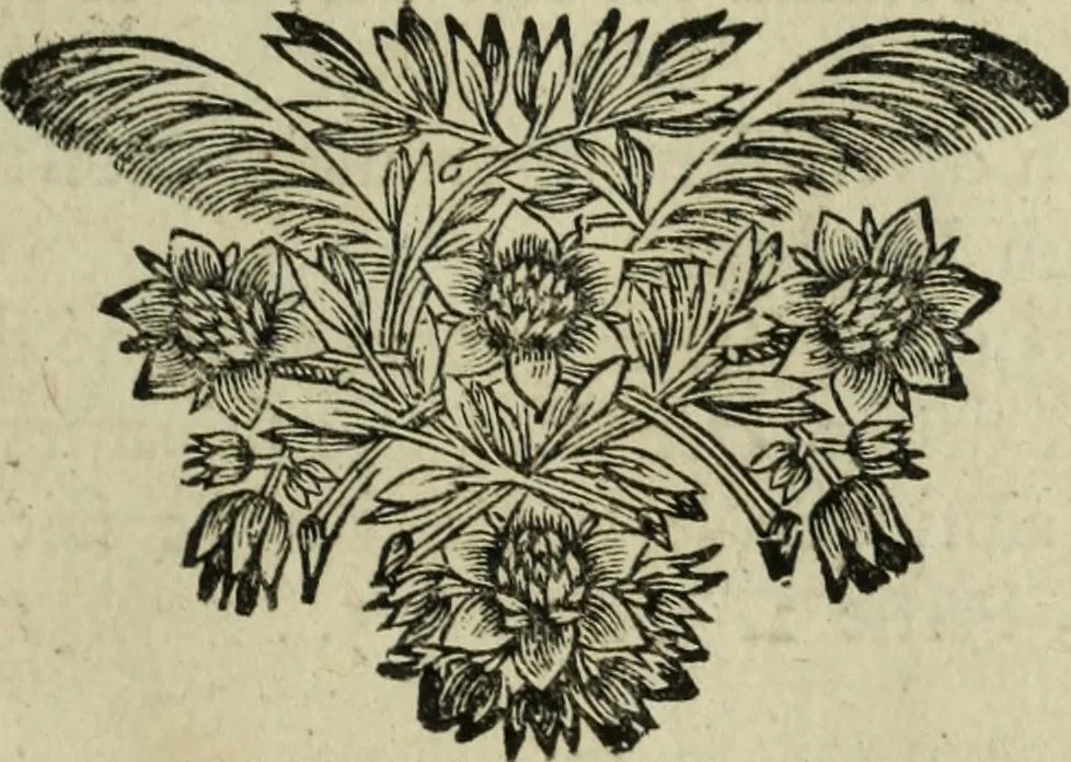 An illustration from Description de l'univers, 1683, leaf 134