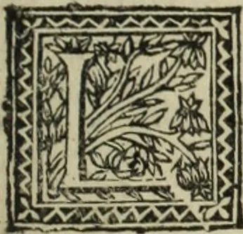 An illustration from Description de l'univers, 1683, leaf 142