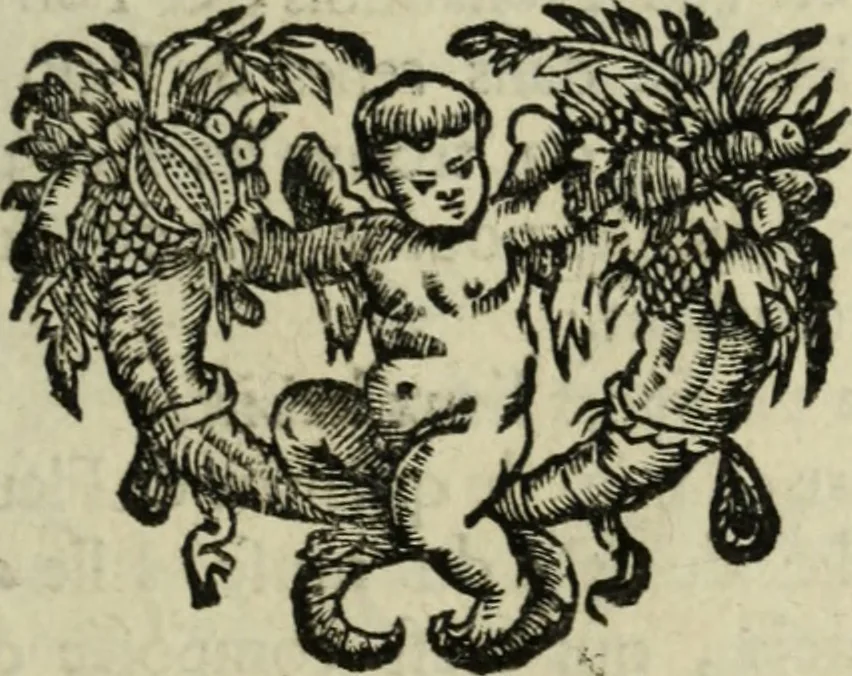 An illustration from Description de l'univers, 1683, leaf 148