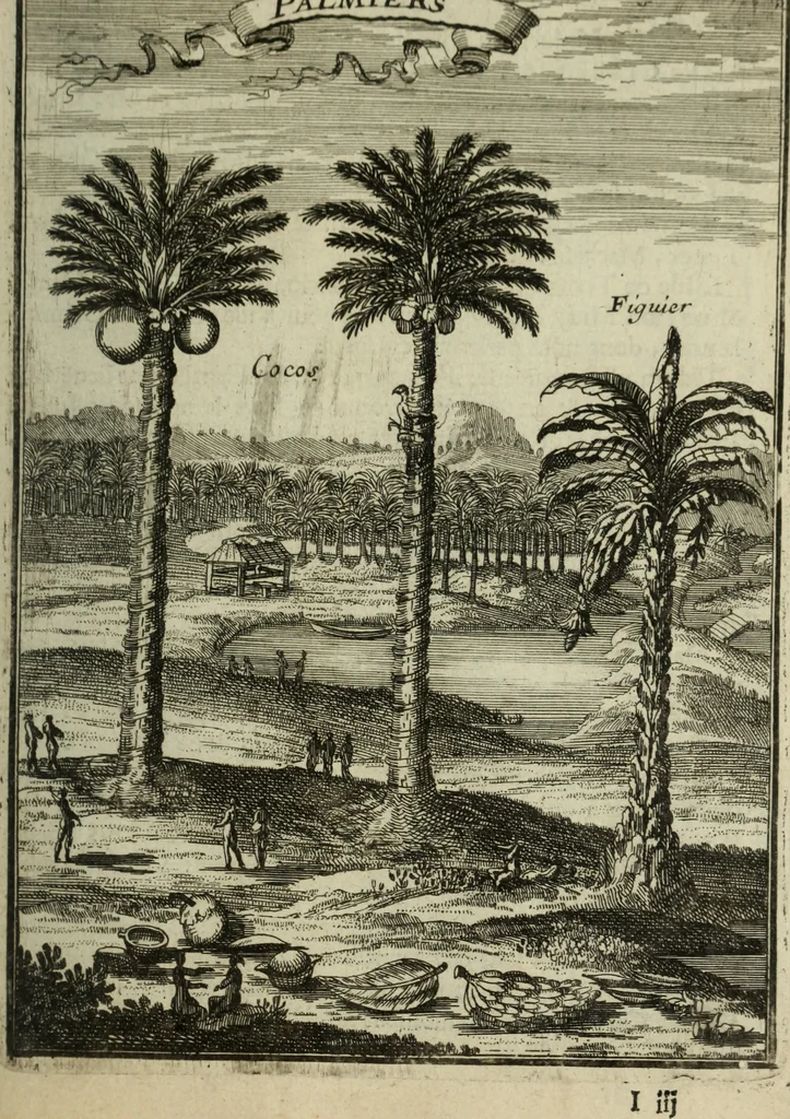 An illustration from Description de l'univers, 1683, leaf 152