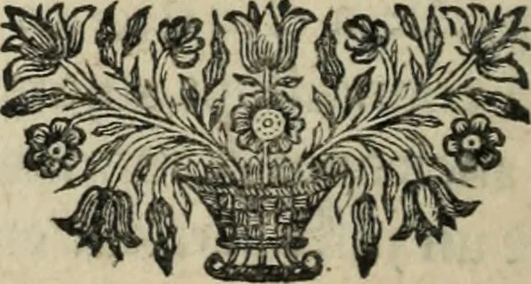 An illustration from Description de l'univers, 1683, leaf 17