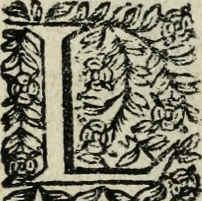 An illustration from Description de l'univers, 1683, leaf 177