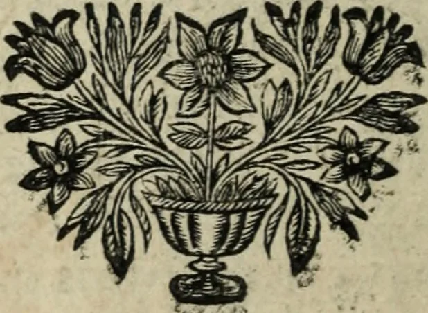 An illustration from Description de l'univers, 1683, leaf 223