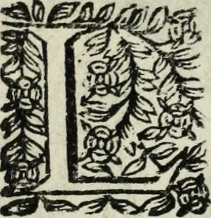 An illustration from Description de l'univers, 1683, leaf 289