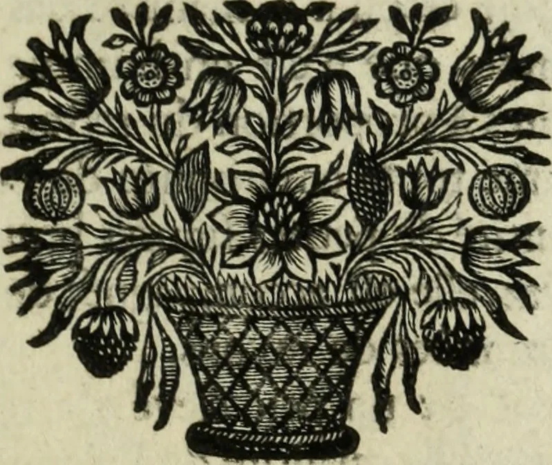 An illustration from Description de l'univers, 1683, leaf 76