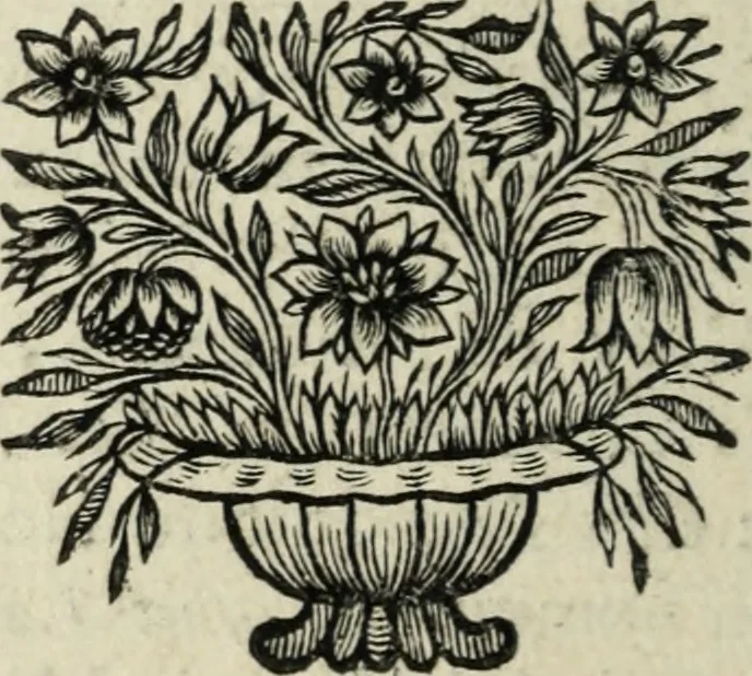 An illustration from Description de l'univers, 1683, leaf 91