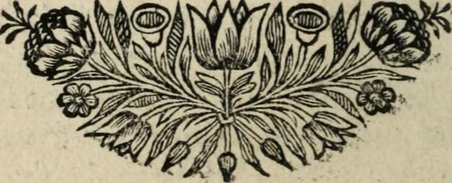 An illustration from Description de l'univers, 1683, leaf 129