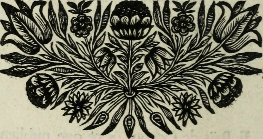 An illustration from Description de l'univers, 1683, leaf 145
