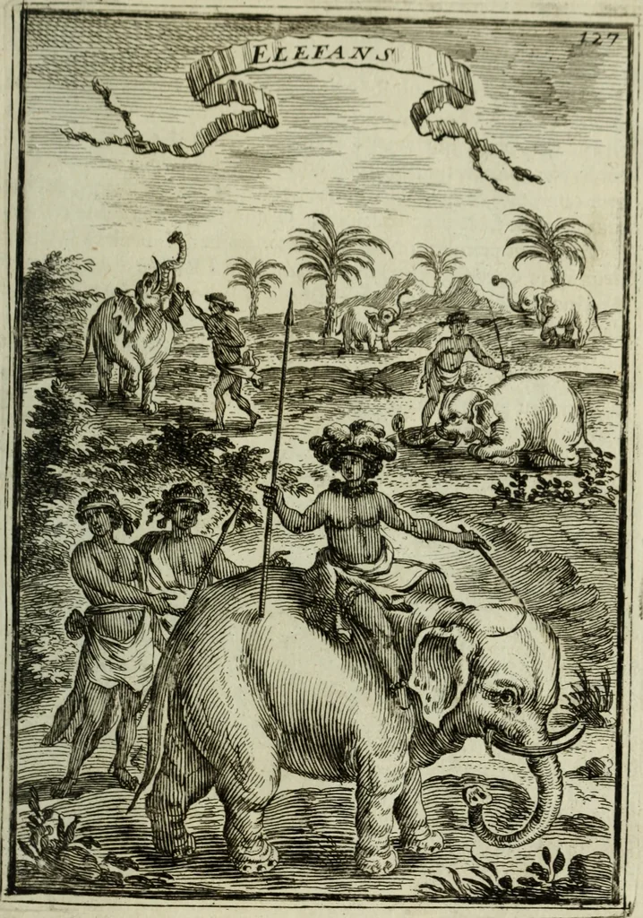 An illustration from Description de l'univers, 1683, leaf 152
