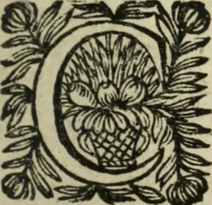 An illustration from Description de l'univers, 1683, leaf 158