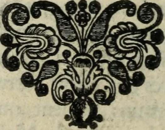 An illustration from Description de l'univers, 1683, leaf 17