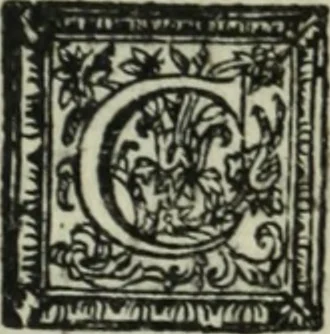 An illustration from Description de l'univers, 1683, leaf 200