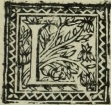 An illustration from Description de l'univers, 1683, leaf 206
