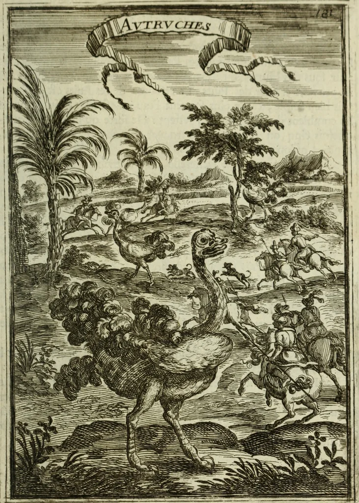 An illustration from Description de l'univers, 1683, leaf 210