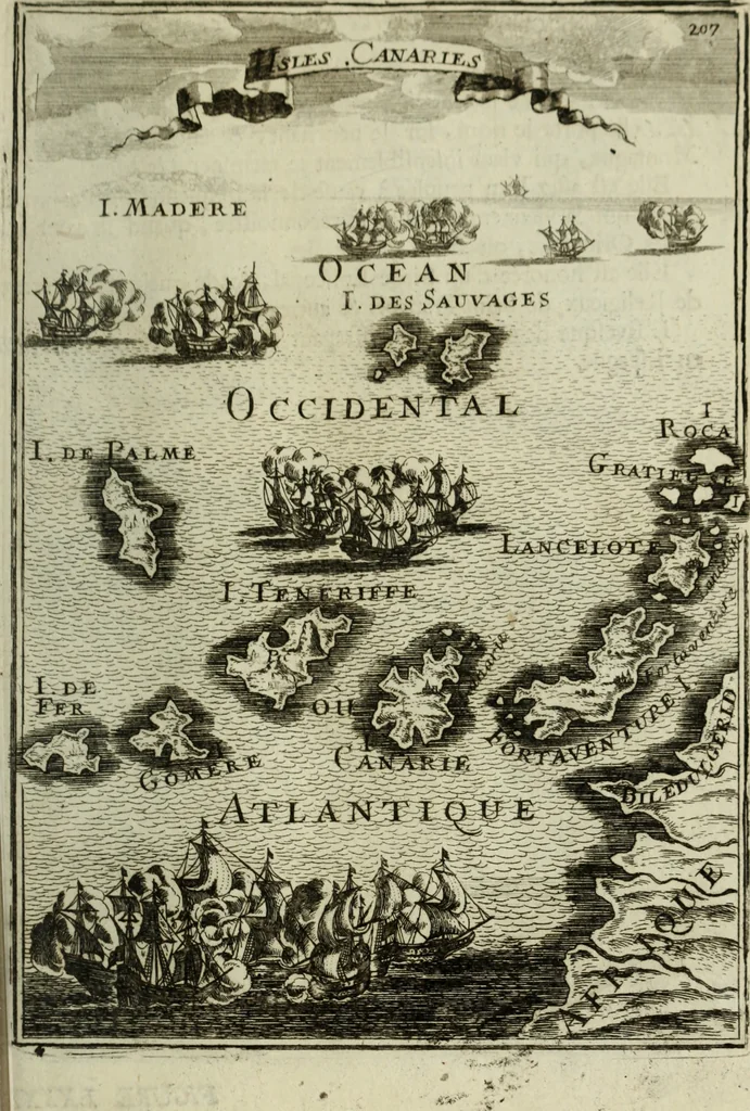 An illustration from Description de l'univers, 1683, leaf 236