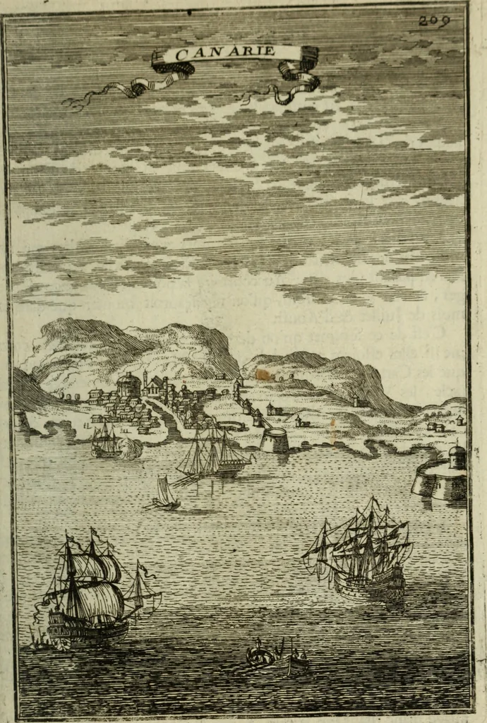 An illustration from Description de l'univers, 1683, leaf 238