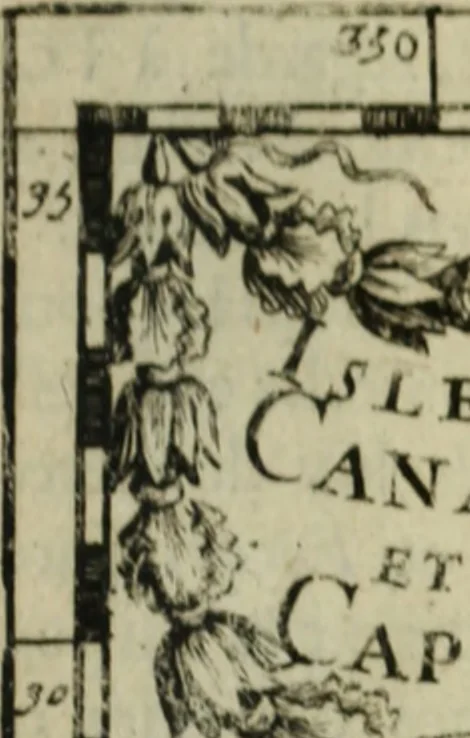 An illustration from Description de l'univers, 1683, leaf 244