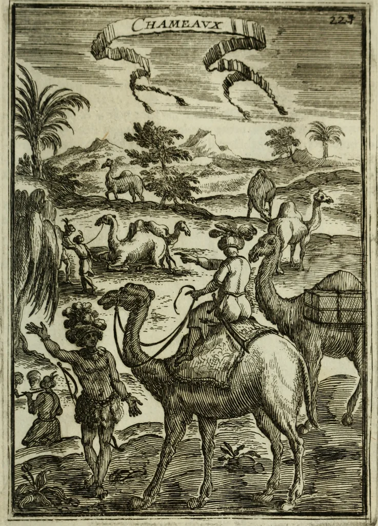 An illustration from Description de l'univers, 1683, leaf 258