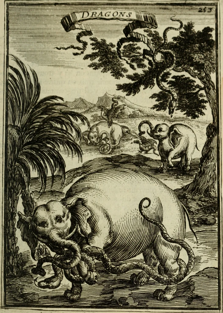 An illustration from Description de l'univers, 1683, leaf 284