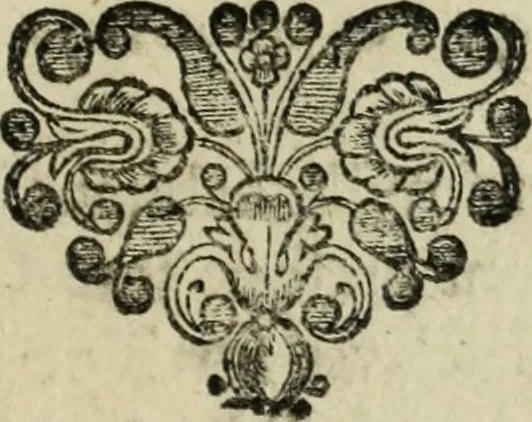 An illustration from Description de l'univers, 1683, leaf 42