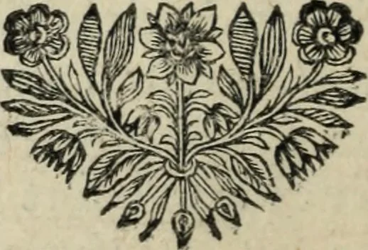 An illustration from Description de l'univers, 1683, leaf 61