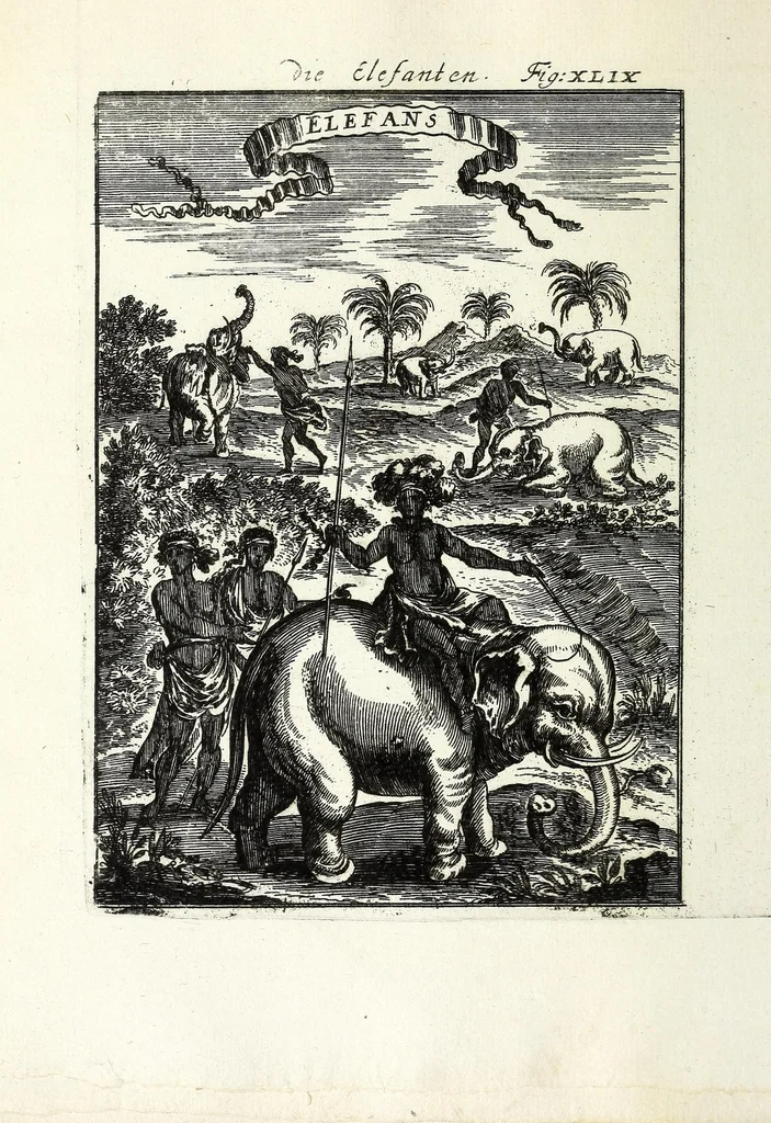 An illustration from Description de l'univers : contenant les differents systemes du monde, les cartes generales & particulieres de la geographie ancienne & moderne, les plans & les profils des principales villes & des autres lieux plus considerables de la Terre : avec les portraits des souverains qui y commandent, leurs blasons, titres & livrées : et les moeurs, religions, gouvernemens & divers habillemens de chaque nation, 1685, leaf 172