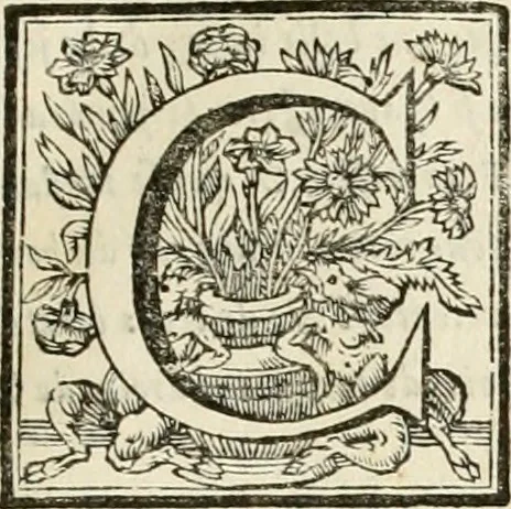 An illustration from Description des feux d'artifices faits a l'honneur du roy a Lille : par vn nouveau témoignage du zele de messieurs du Magistrat, ensuite de la venuë de Sa Majesté en cette ville, & de la rejouissance publique de la paix, l'an 1680, 1680, leaf 12