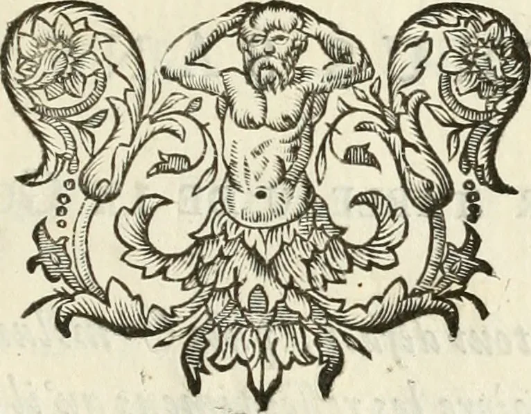 An illustration from Description des feux d'artifices faits a l'honneur du roy a Lille : par vn nouveau témoignage du zele de messieurs du Magistrat, ensuite de la venuë de Sa Majesté en cette ville, & de la rejouissance publique de la paix, l'an 1680, 1680, leaf 18