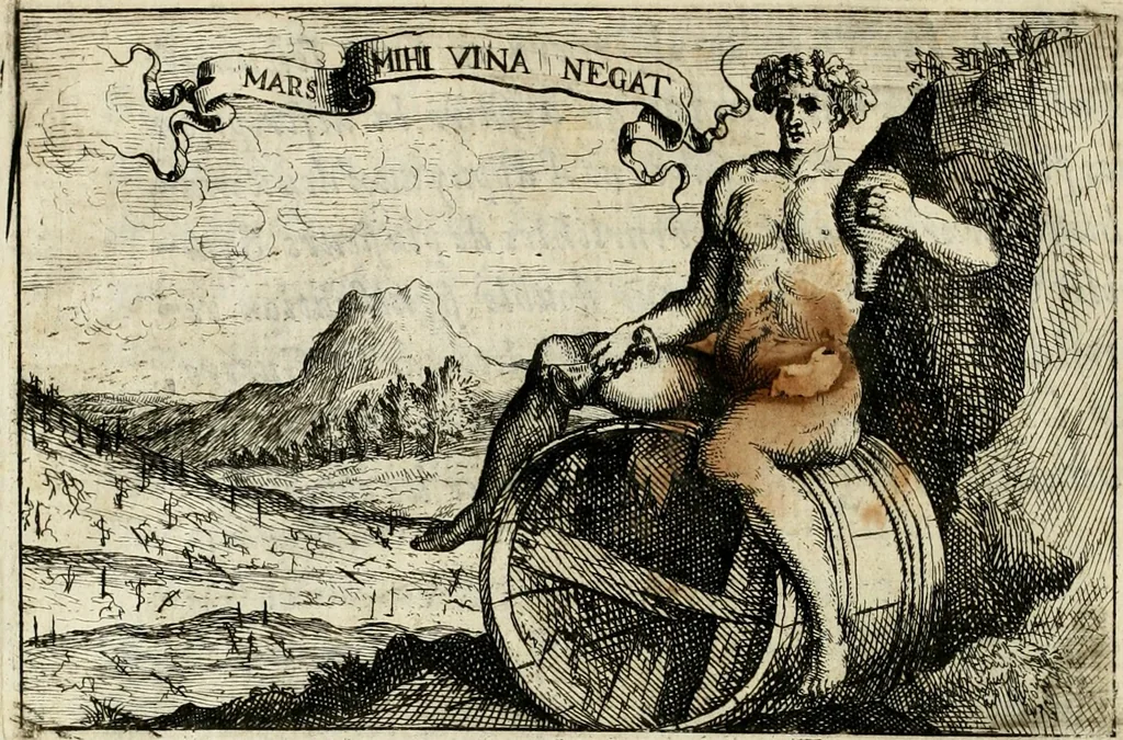 An illustration from Description des feux d'artifices faits a l'honneur du roy a Lille : par vn nouveau témoignage du zele de messieurs du Magistrat, ensuite de la venuë de Sa Majesté en cette ville, & de la rejouissance publique de la paix, l'an 1680, 1680, leaf 19