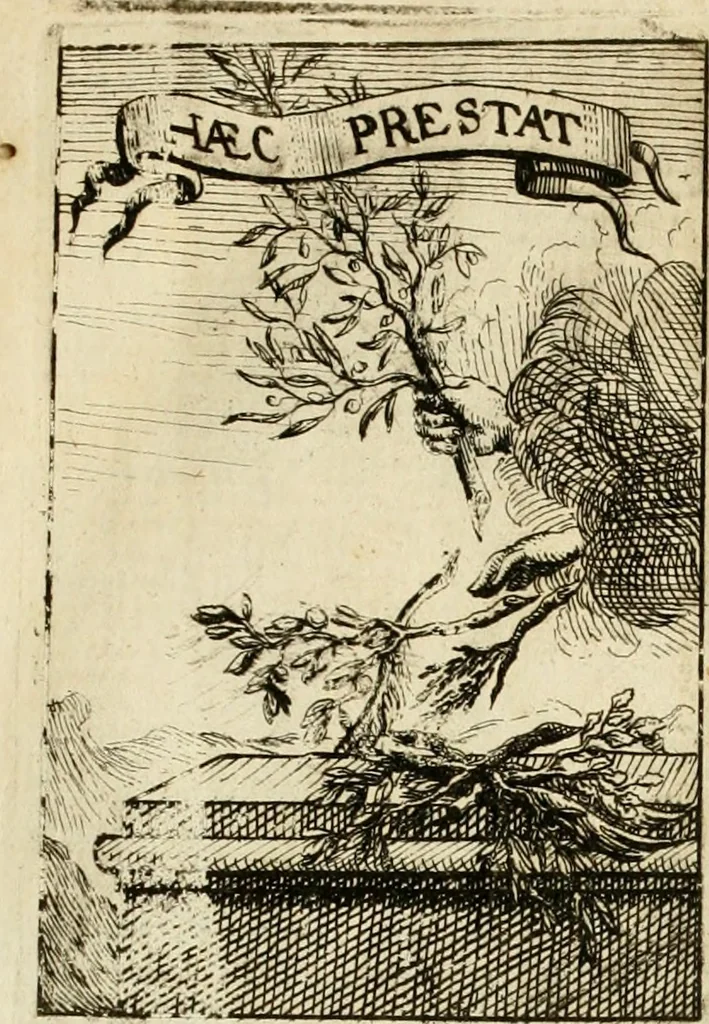 An illustration from Description des feux d'artifices faits a l'honneur du roy a Lille : par vn nouveau témoignage du zele de messieurs du Magistrat, ensuite de la venuë de Sa Majesté en cette ville, & de la rejouissance publique de la paix, l'an 1680, 1680, leaf 28