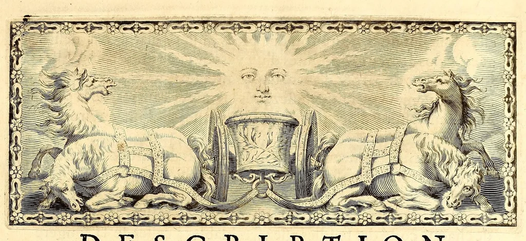 An illustration from Description des plantes de l'Amerique. : Avec leurs figures., 1693, leaf 13