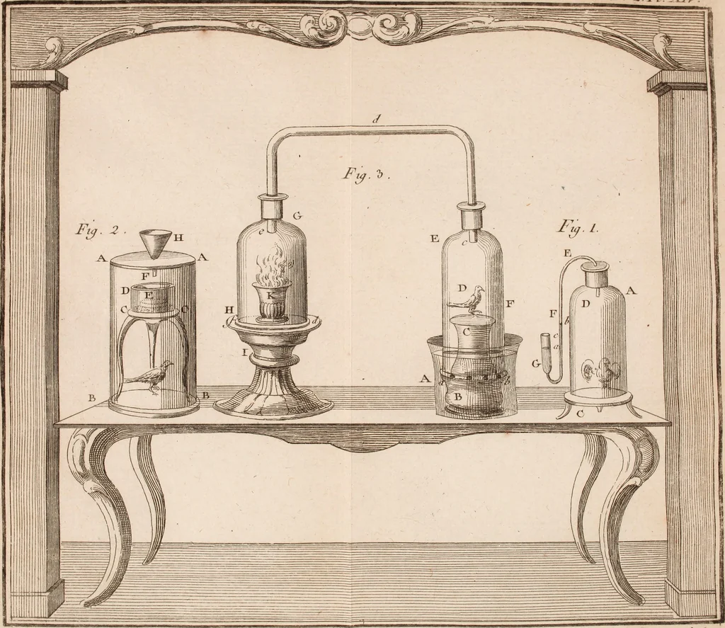 An illustration from Description et usage d'un cabinet de physique expérimentale, 1775, leaf 490