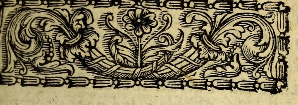 An illustration from Description generale des costes de l'Amerique, : havres, isles, caps, golfes, bancs, ecueils, basses, profondeurs, vents & courans d'eau. Des peuples qui les habitent, du temperamment de l'air, de la qualité des terres & du commerce. Utiles à tous navigateurs, hydrographes & geographes, le tout recueilly des autheurs les plus modernes, & des memoires des pilotes, françois, espagnols & portugais., 1677, leaf 21