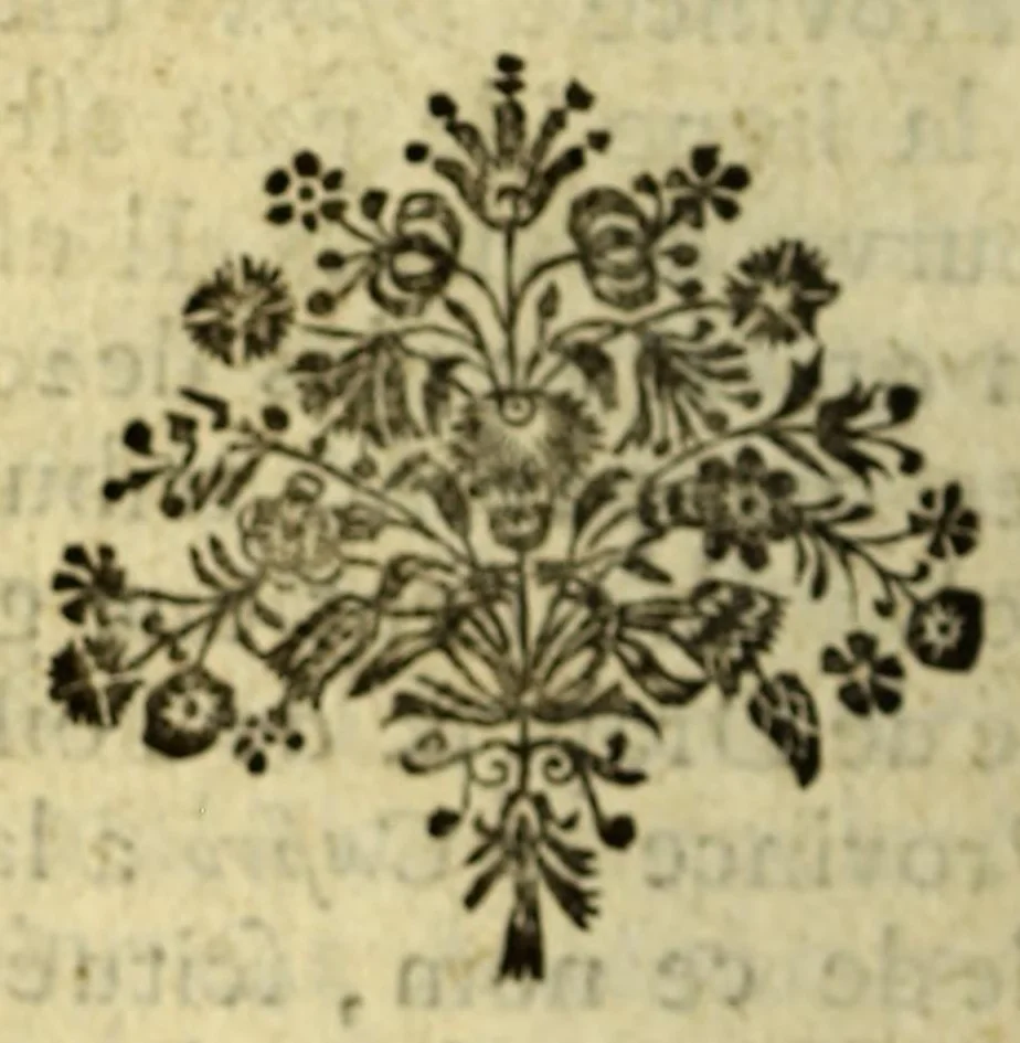 An illustration from Description generale des costes de l'Amerique, : havres, isles, caps, golfes, bancs, ecueils, basses, profondeurs, vents & courans d'eau. Des peuples qui les habitent, du temperamment de l'air, de la qualité des terres & du commerce. Utiles à tous navigateurs, hydrographes & geographes, le tout recueilly des autheurs les plus modernes, & des memoires des pilotes, françois, espagnols & portugais., 1677, leaf 380