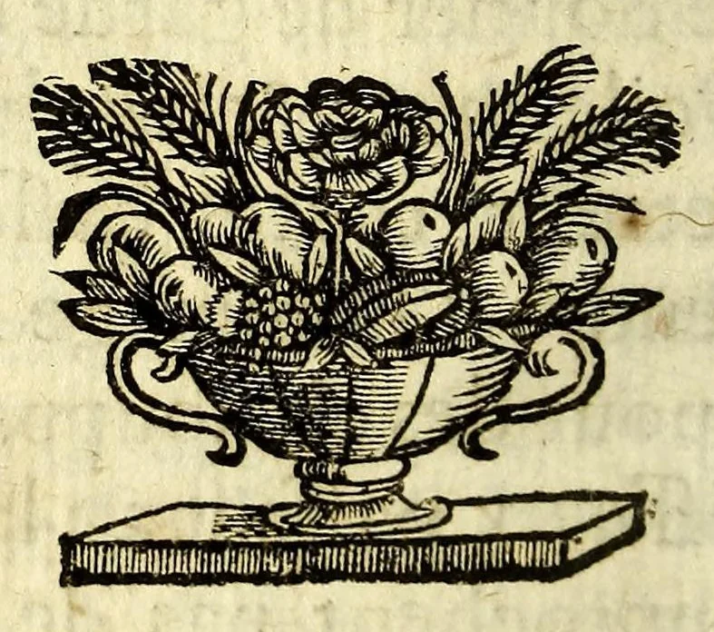 An illustration from Description geographique et historique des costes de l'Amerique Septentrionale. : Avec l'histoire naturelle du païs., 1672, leaf 180