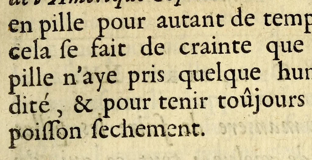 An illustration from Description geographique et historique des costes de l'Amerique Septentrionale. : Avec l'histoire naturelle du païs., 1672, leaf 525