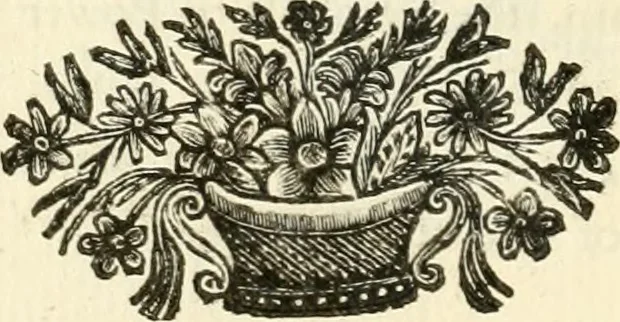 An illustration from A description of the antiquities and curiosities in Wilton-House : illustrated with twenty-five engravings of some of the capital statues, bustos, and relievos : in this work are introduced the anecdotes and remarks of Thomas Earl of Pembroke, who collected these antiques, now first published from his Lordship's mss, 1786, leaf 101