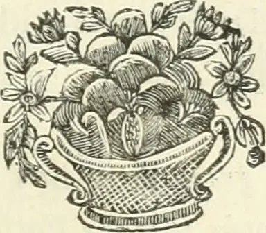 An illustration from A description of the antiquities and curiosities in Wilton-House : illustrated with twenty-five engravings of some of the capital statues, bustos, and relievos : in this work are introduced the anecdotes and remarks of Thomas Earl of Pembroke, who collected these antiques, now first published from his Lordship's mss, 1786, leaf 120