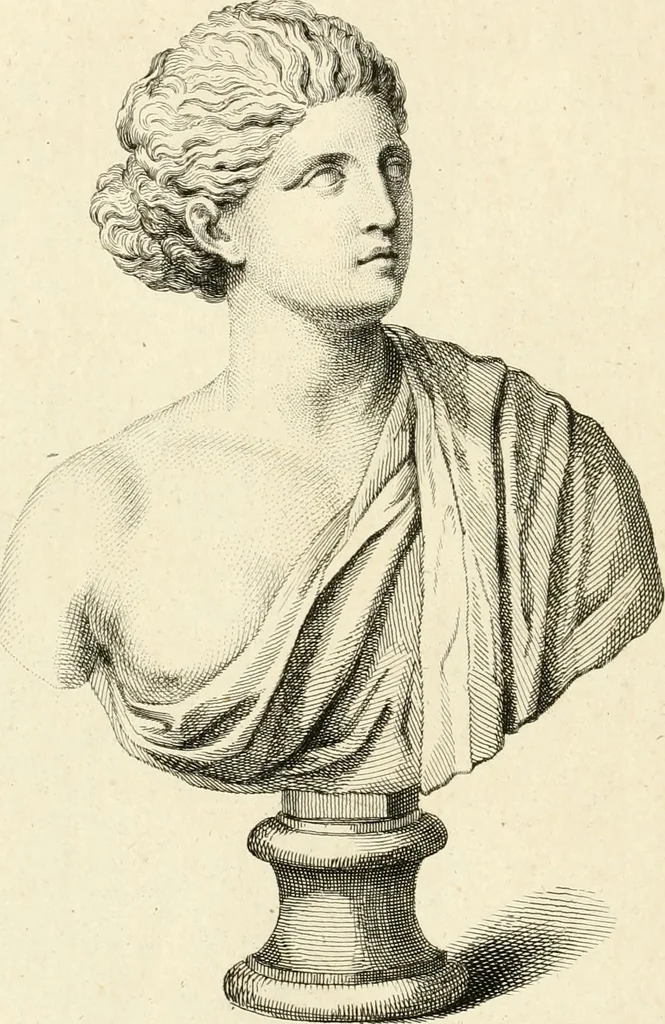 An illustration from A description of the antiquities and curiosities in Wilton-House : illustrated with twenty-five engravings of some of the capital statues, bustos, and relievos : in this work are introduced the anecdotes and remarks of Thomas Earl of Pembroke, who collected these antiques, now first published from his Lordship's mss, 1786, leaf 151